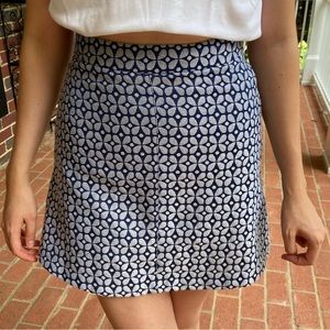Anthropologie Skirt (Size 2)